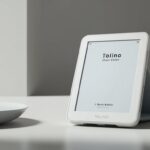 Tolino Vision Color Review