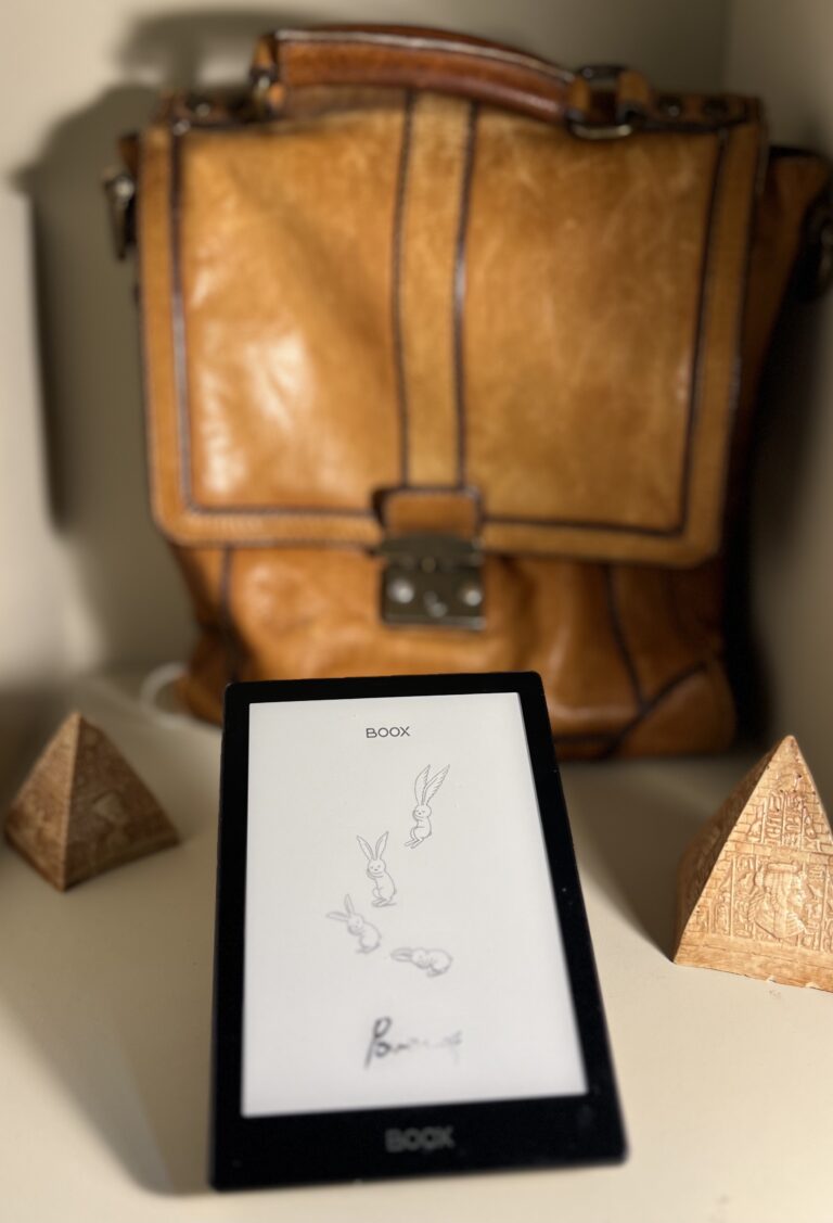 Onyx Boox Poke 5 ereader